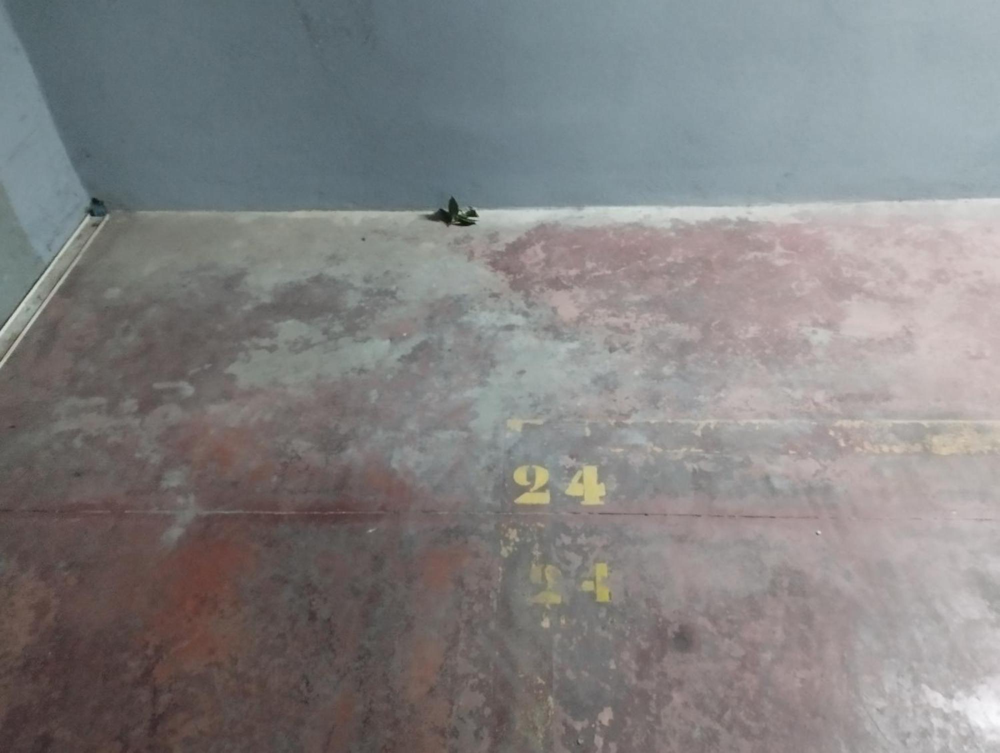 Apartament Cd-Duplex, Elegante Duplex, Centrico, Terraza Espectacular, Barrio Tranquilo Malaga Zewnętrze zdjęcie